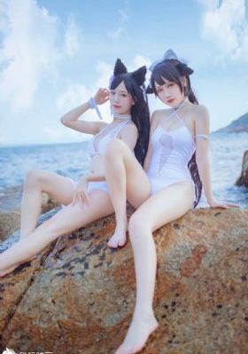 我是刑警电视剧播放_720免费观看超清